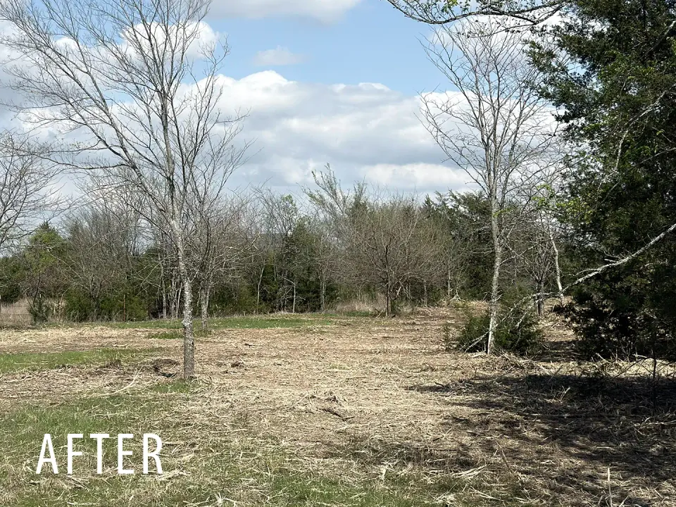 Field edge after forestry mulching