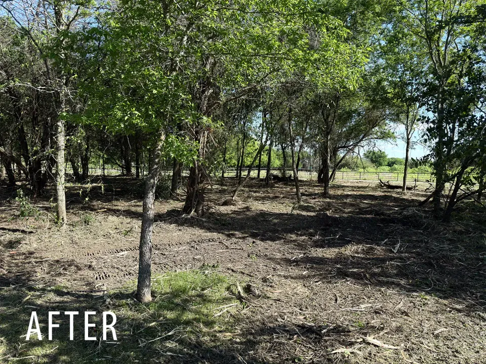 Fence line and brush edge after forestry mulching