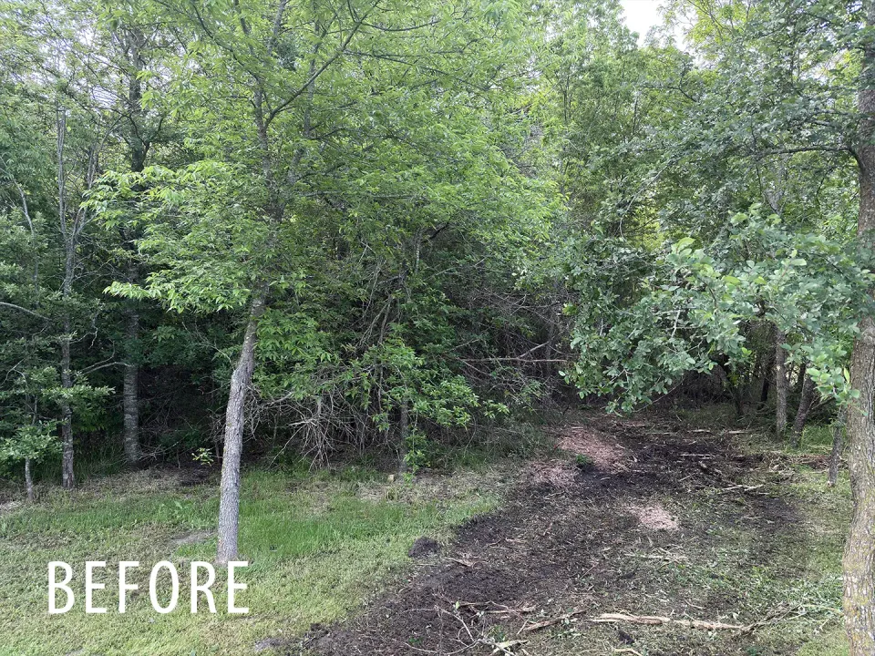 Fence line and brush edge before forestry mulching