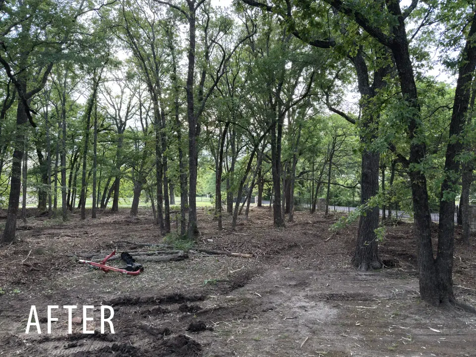 Rural acreage after understory cleanup