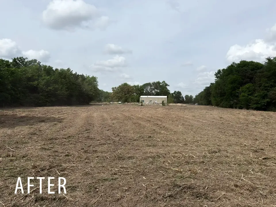 Field edge after brush and saplings are mulched back