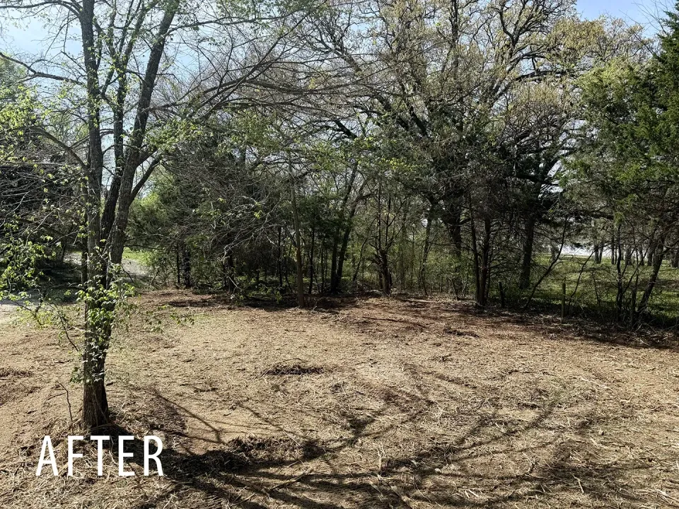 Fence line after brush and saplings are mulched